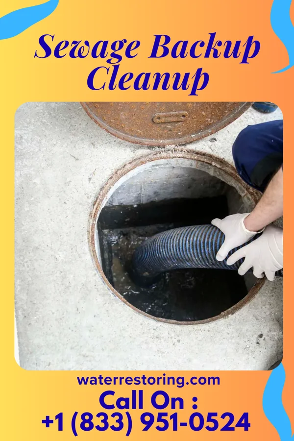 Sewage Backup Cleanup in Hazard, NE